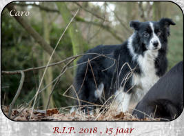 R.I.P. 2018 , 15 jaar Caro