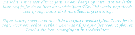 Baischa is nu meer dan 12 jaar en een beetje op rust.  Tot verleden jaar zag je Jessie en hem op wedstrijden PG2. Hij werkt nog steeds zeer graag, maar doet nu alleen nog training.  Slque Sunny speelt met dezelfde overgave wedstrijden. Zoals Jessie zegt, weer een echte werker. Een waardige opvolger voor Xyben en Baicha die hem voorgingen in wedstrijden.