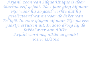 Arjani, zoon van Silque Unique is door Marina zelf gefokt. Na 1 jaar ging hij naar PG1 waar hij zo goed werkte dat hij geselecteerd waren voor de beker van Be¨lgië. In 2007 gingen zij naar PG2 na een jaartje ertussen uit. In 2010 droeg hij de fakkel over aan Hilke. Arjani word nog altijd zo gemist R.I.P. 12/2014