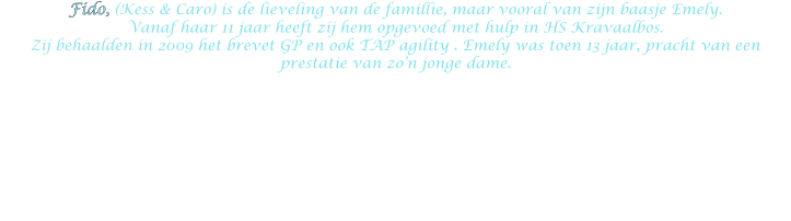 Fido, (Kess & Caro) is de lieveling van de famillie, maar vooral van zijn baasje Emely.  Vanaf haar 11 jaar heeft zij hem opgevoed met hulp in HS Kravaalbos. Zij behaalden in 2009 het brevet GP en ook TAP agility . Emely was toen 13 jaar, pracht van een prestatie van zo’n jonge dame.