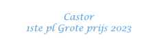 Castor 1ste pl Grote prijs 2023